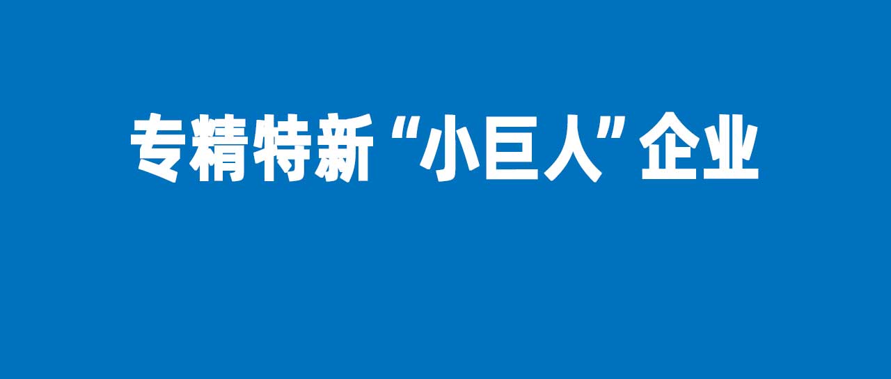 鑫英泰再獲國家級專精特新“小巨人”認(rèn)定