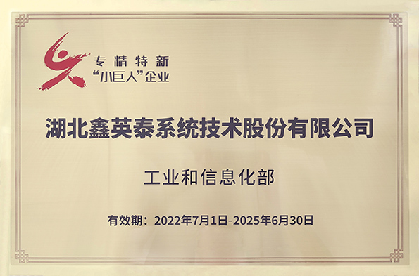 國(guó)家級(jí)專(zhuān)精特新小巨人企業(yè)